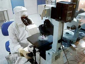 Skin regeneration into stem cells