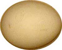 Skinhead eagles lay eggs