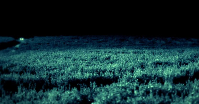 Skinwalker - The most exotic place on Earth