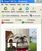 Skype 2 supports video calling