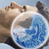 Sleep helps eliminate toxins in the brain