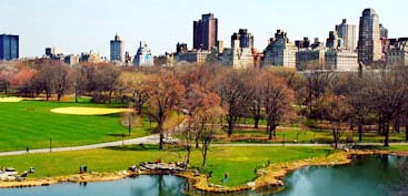 Small parks cool the big cities
