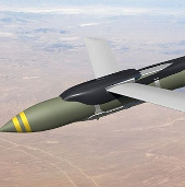 Smart bombs with wings