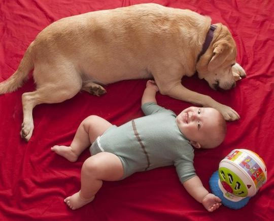 Smart clothes know why babies cry