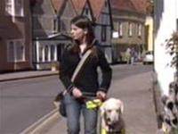Smart dogs help patients