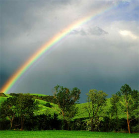 Smell pleasant after the rain from where?