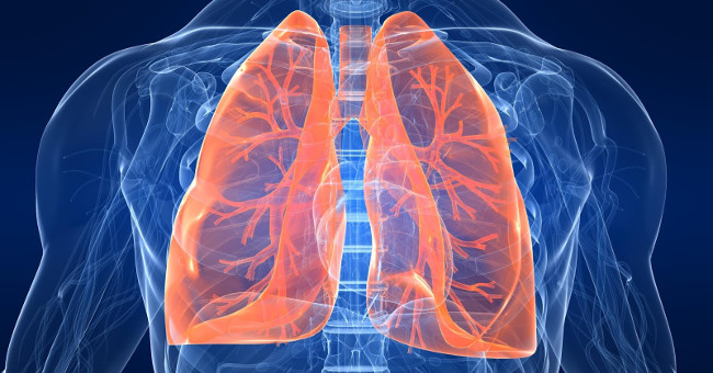 Smoking for more than 5 years, follow these 5 ways to save your lungs