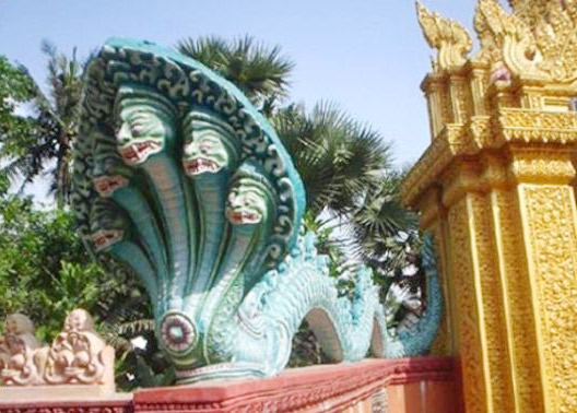 Snake and custom of worship of Vietnamese people