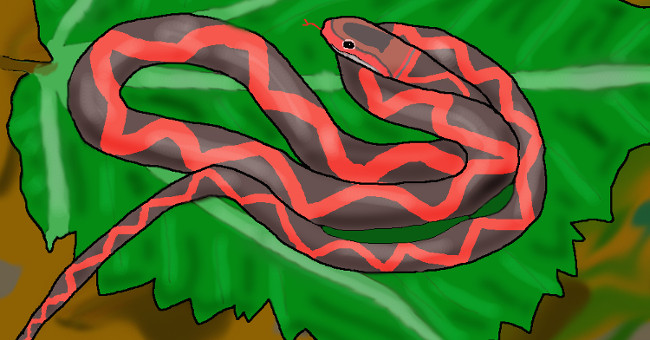 Snake fossils have a 5 million year old wing