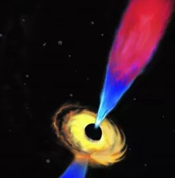 Snatching up the image of a choking cosmic black hole when swallowing a star