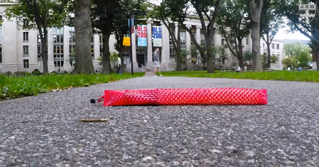 Soft robots move like solid