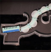 Soft robots resemble octopus, moving in a narrow environment