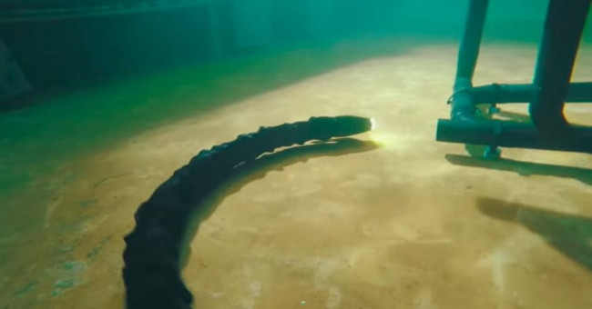 Solid robot repairs environmental equipment under the seabed