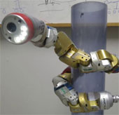 Solid robot
