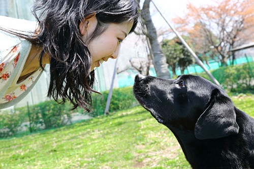 Solution to affection between humans and pets