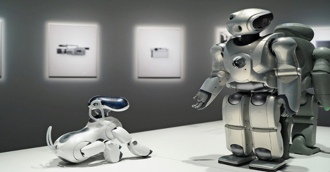 Sony continues to develop robots after 12 years of interruption, starting with pet robots
