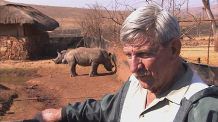 South Africa poisoned rhino horn