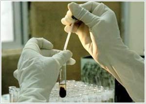South Korea: Again scandalizing scientific research