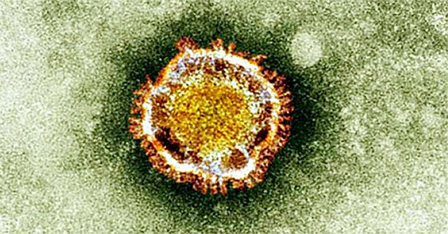 South Korea discovered new cases of MERS infection