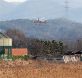 South Korea has more cases of bird flu in dogs