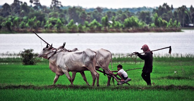 Southeast Asia will be the region most heavily affected by climate change