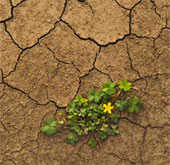 Southern Europe increased by 5 degrees Celsius by 2100