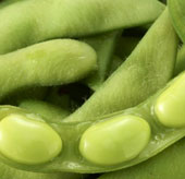 Soy compound helps treat HIV