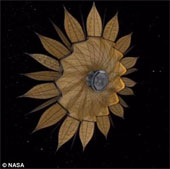 Space sunflowers help take photos of the stars more clearly