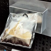 Special items of astronauts on the space station