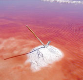 Special pink lakes