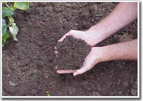 Special soil to overcome climate change