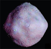 Specimen worth 800 million USD