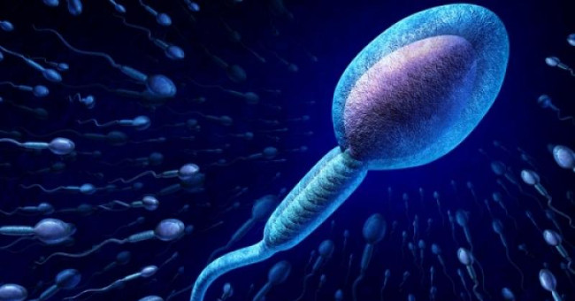 Sperm selection device: new hope in treating infertility