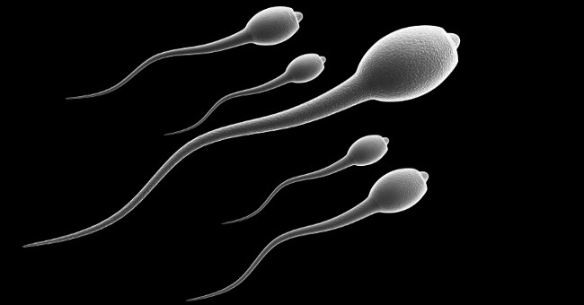 Sperm will not touch the egg when humans use this compound
