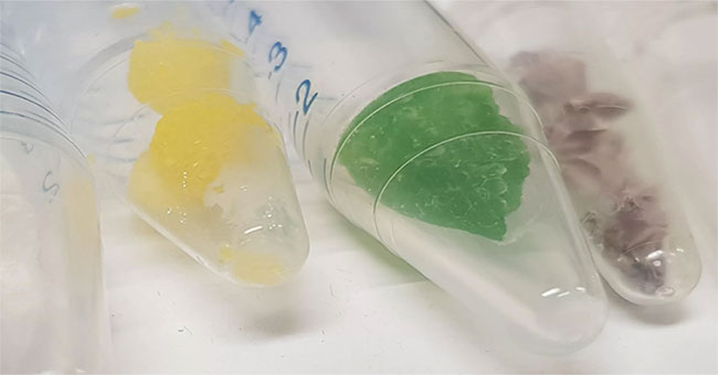 Spider eggs may be mistaken for candy colors