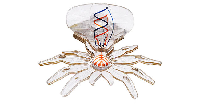 Spider robots can perform surgery in the future