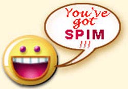 Spim and splog increase, viruses double in the next two years