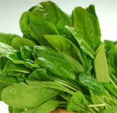 Spinach helps reduce cravings and prevents obesity