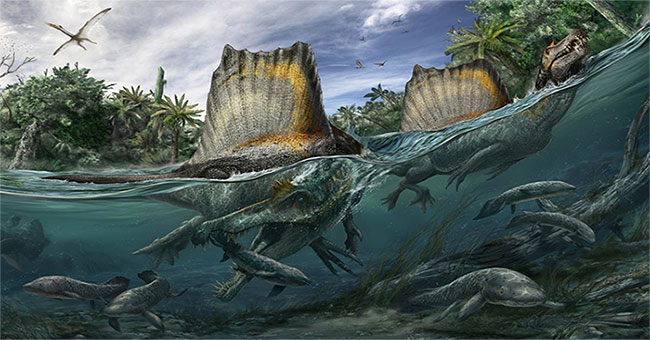 Spinosaurus - grotesque dinosaurs: hunt fish like gods that can't swim!