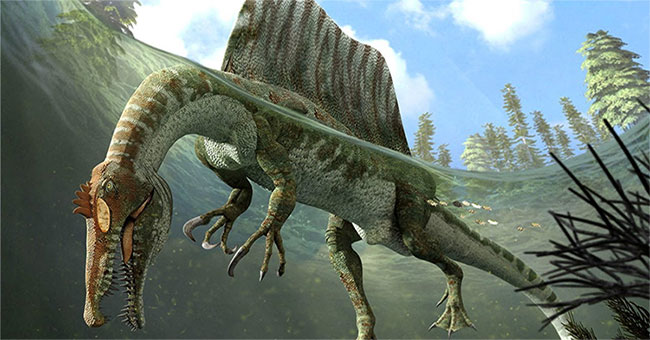 Spinosaurus - The huge predatory dinosaur on Earth