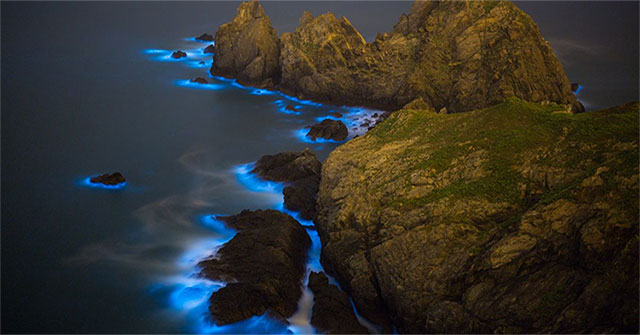 Spooky 'blue tears' spread across the Chinese sea