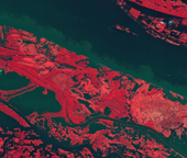 Spot the enchanting Earth from space satellites