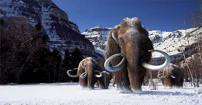 Spot the land where the ancient massacre of mammoths