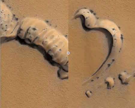 Spotted sunbathing spiders on Mars