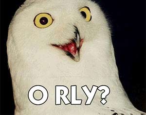 Spread the virus to print a picture ... the owl