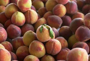 Stamped with ripe fruits