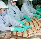 Start Korean Technology Incubator in Mekong Delta
