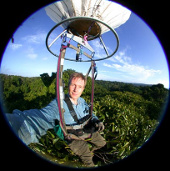 Statistics of tropical arthropods from hot air balloons