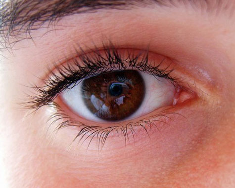 Stem cell transplant to cure blindness