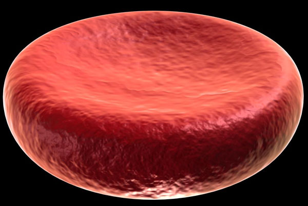 Stem cells help increase red blood cell production